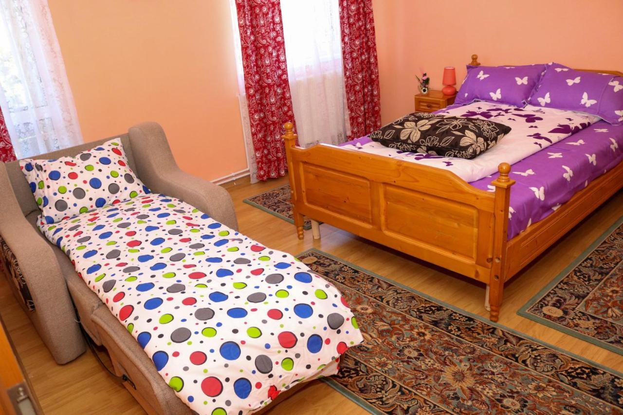 Apartament Iulia Geoagiu Băi Εξωτερικό φωτογραφία