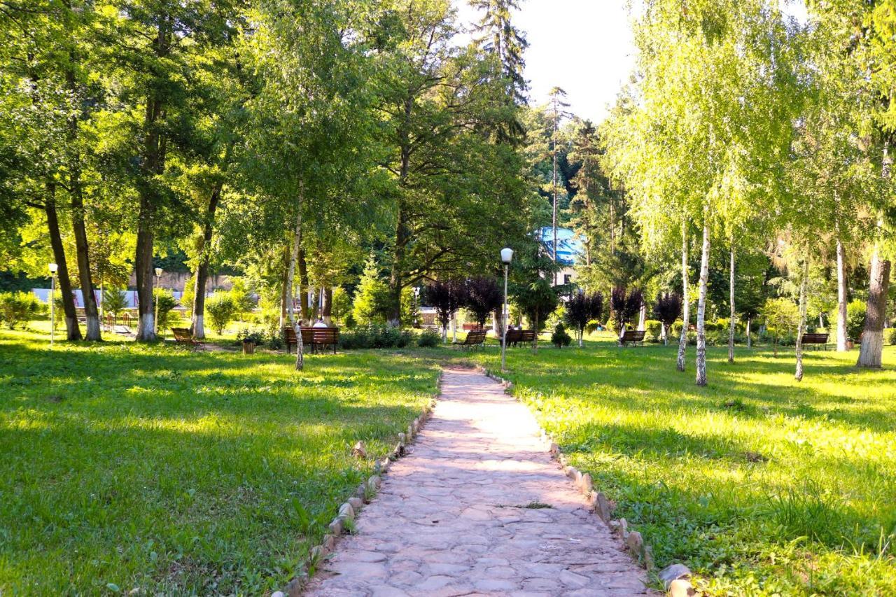 Apartament Iulia Geoagiu Băi Εξωτερικό φωτογραφία