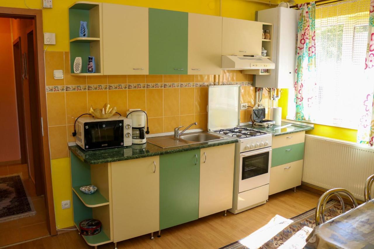 Apartament Iulia Geoagiu Băi Εξωτερικό φωτογραφία